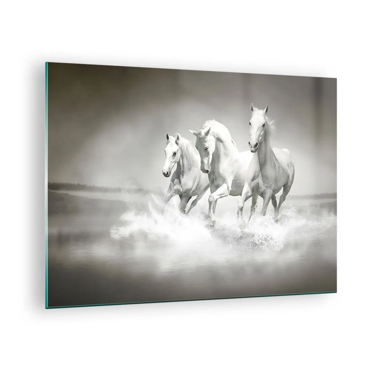 Glasbild - Bild auf glas - Drei weiße Pferde galoppieren durch das Wasser - 70x50cm - Weißer Wahnsinn - Moderne Wanddekoration für Wohnzimmer und Schlafzimmer ARTTOR