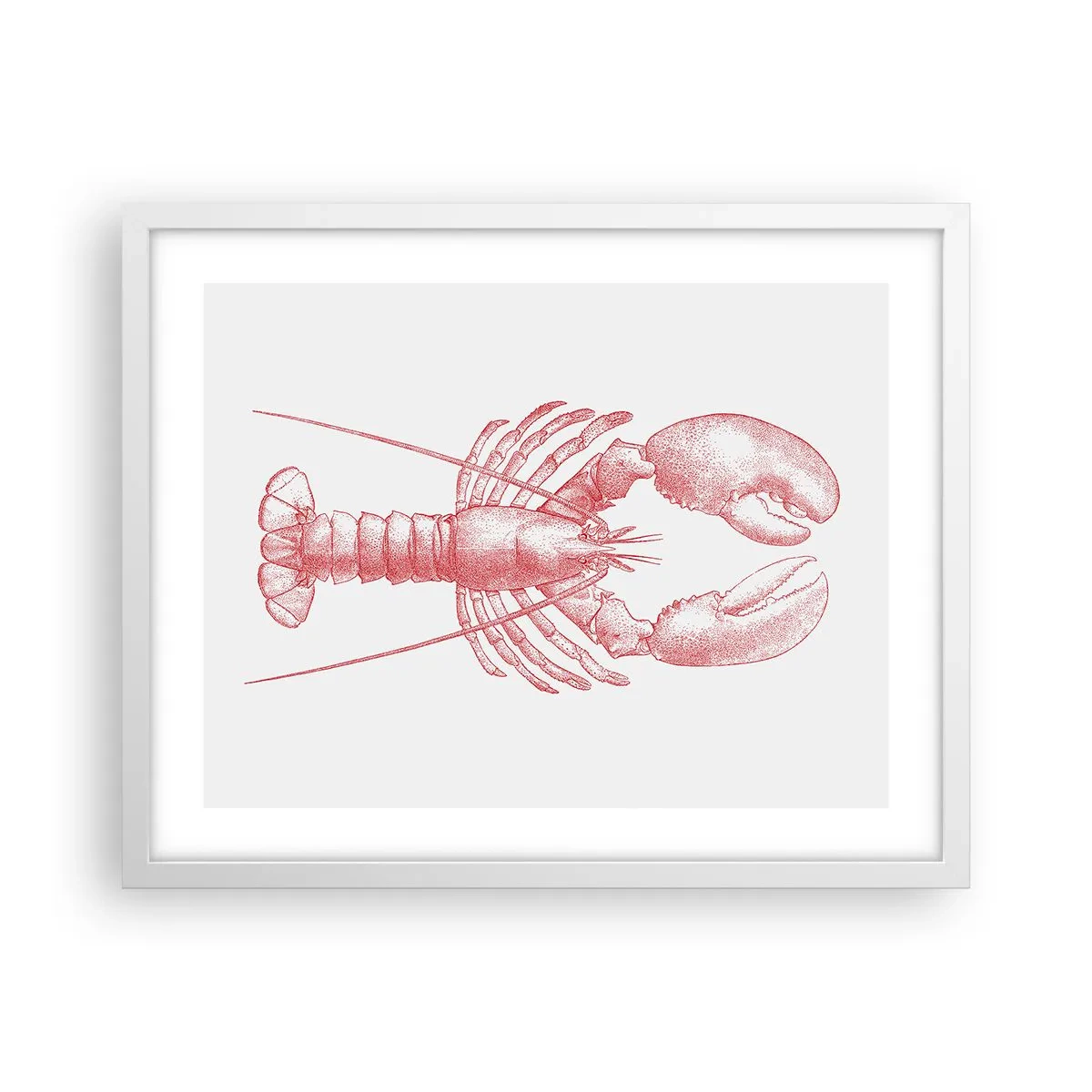 Poster in einem weißen Rahmen - Hummer, der Homers würdig ist - 50x40 cm