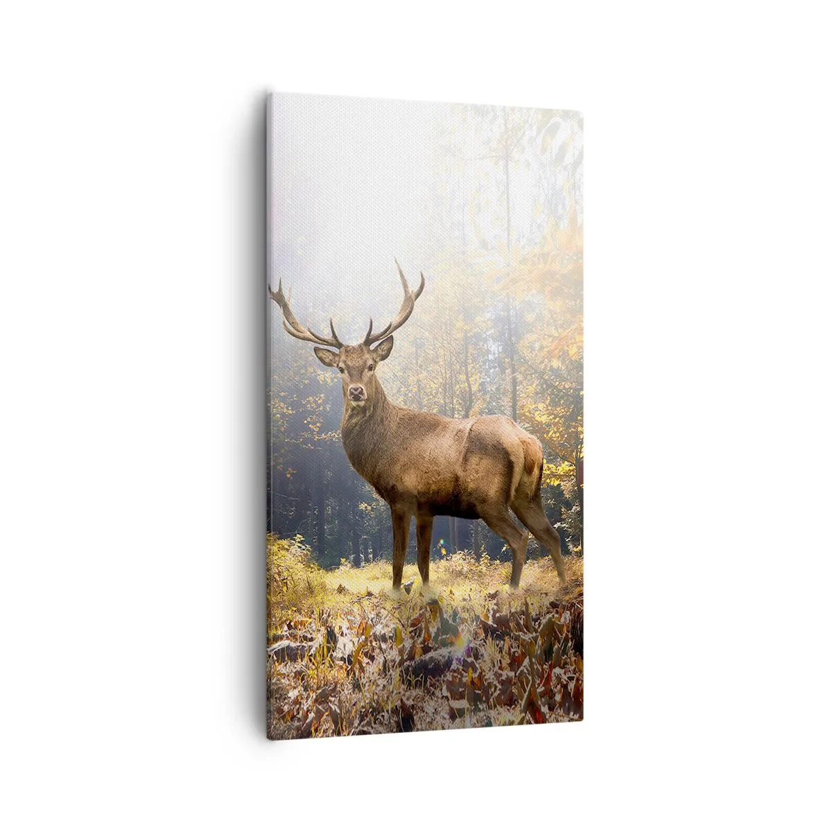 Bild auf Leinwand - Leinwandbild - In voller Majestät - 55x100 cm