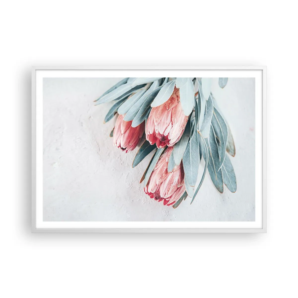 Poster in einem weißen Rahmen - Schämen sich für ihre eigene Schönheit - 100x70 cm