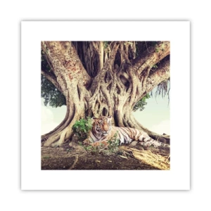 Poster - Blick aus dem Buch Genesis - 30x30 cm