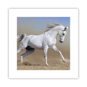 Poster - Die schönste arabische Sage - 30x30 cm