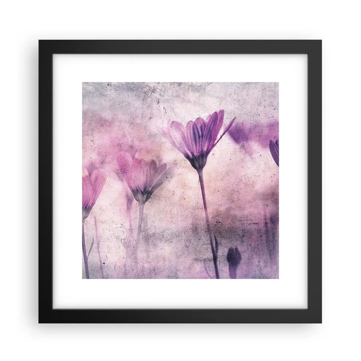 Poster in einem schwarzem Rahmen - Ein Blumentraum - 30x30 cm