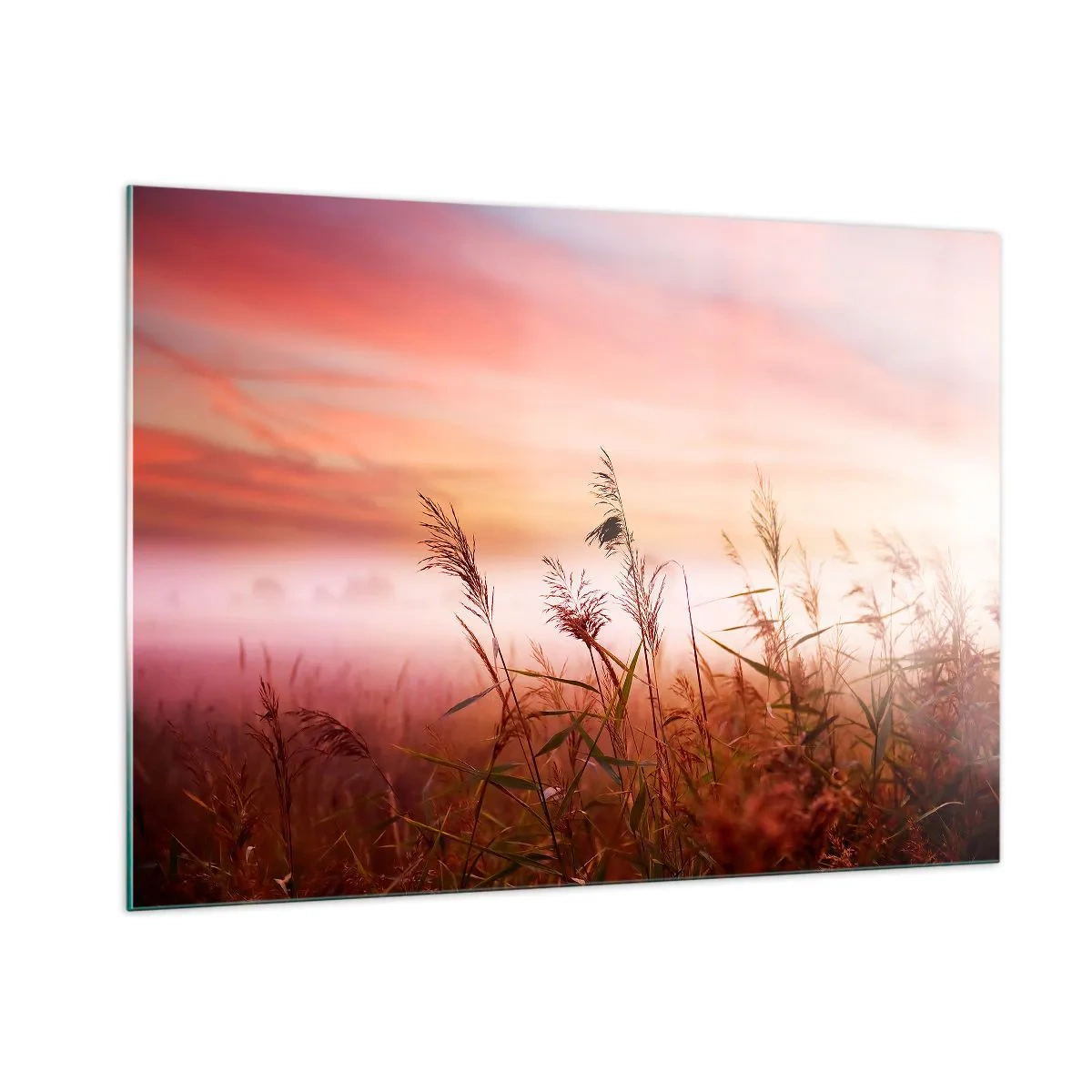 Glasbild - Bild auf glas - Eine Wiese im Morgennebel mit pastellfarbenem Himmel - 100x70cm - Drachen, Löwenzahn, Wind - Moderne Wanddekoration für Wohnzimmer und Schlafzimmer ARTTOR