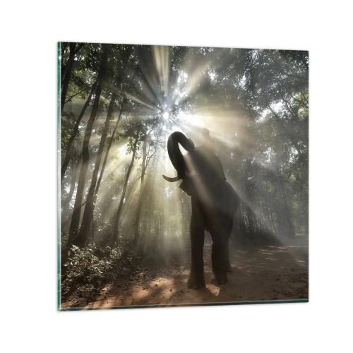 Glasbild - Bild auf glas - Unter dem Glücksstern - 30x30 cm