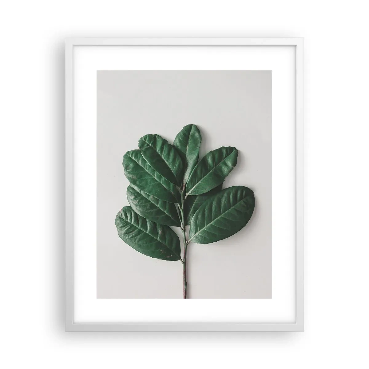 Poster in einem weißen Rahmen - Eine Zeichnung purer Natur - 40x50 cm