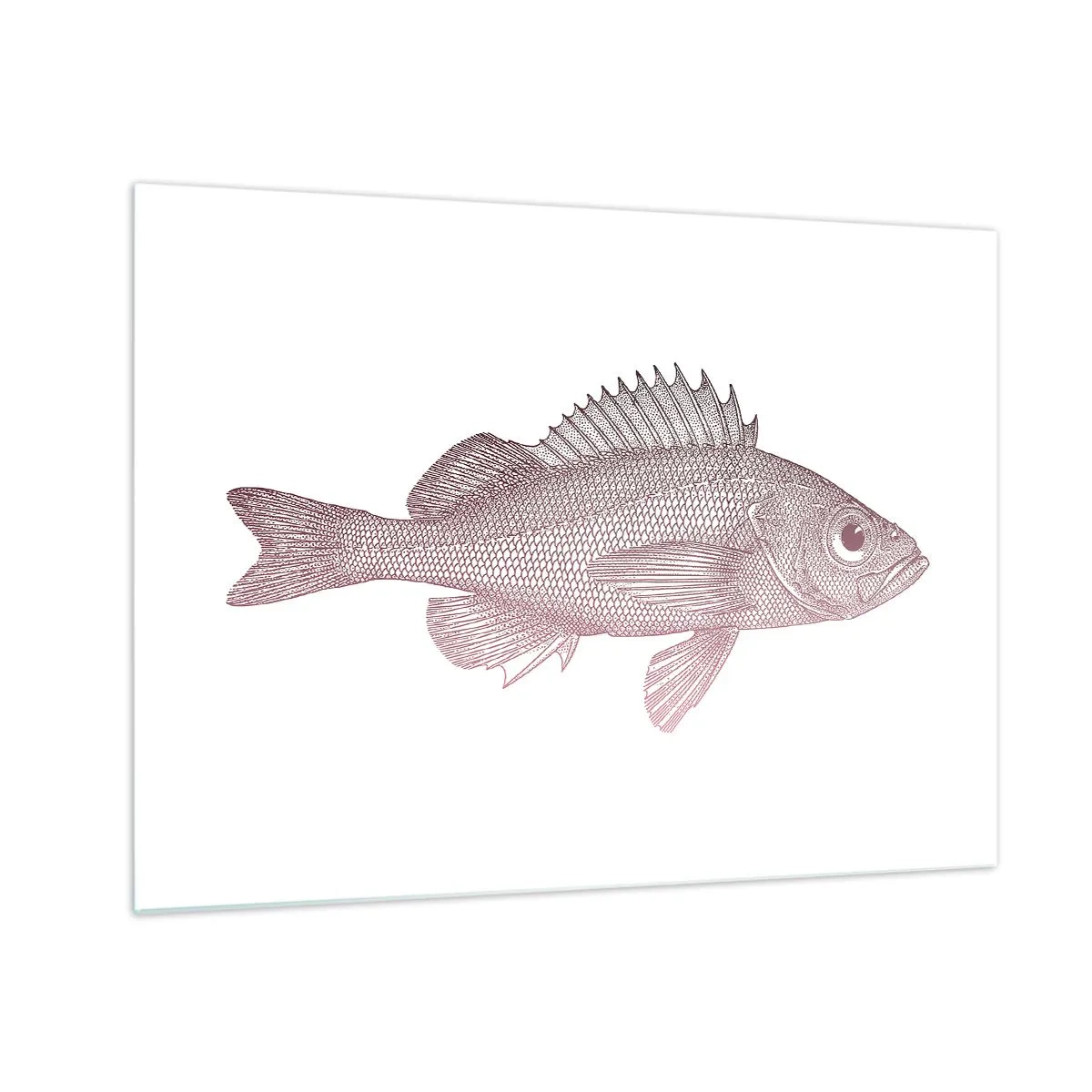 Glasbild - Bild auf glas - Grafik eines Fisches mit großem Auge im Retro-Stil auf weißem Hintergrund - 70x50cm - Großäugiger Fisch - Moderne Wanddekoration für Wohnzimmer und Schlafzimmer ARTTOR