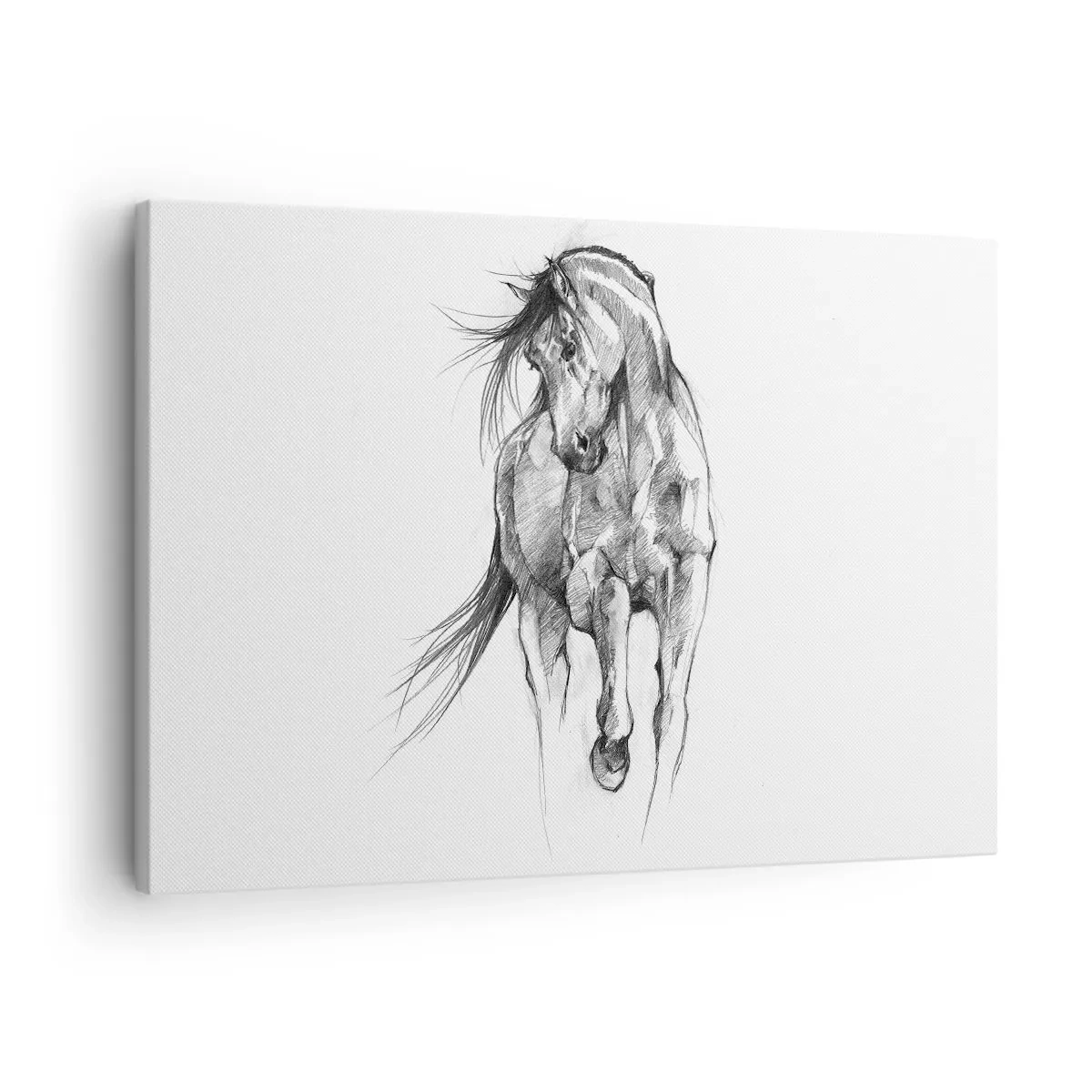 Bild auf Leinwand - Leinwandbild - Im anmutigen Trab - 70x50 cm