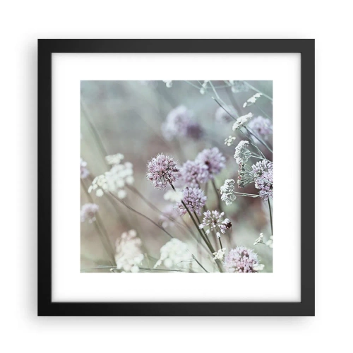 Poster in einem schwarzem Rahmen - Süße filigrane Kräuter - 30x30 cm