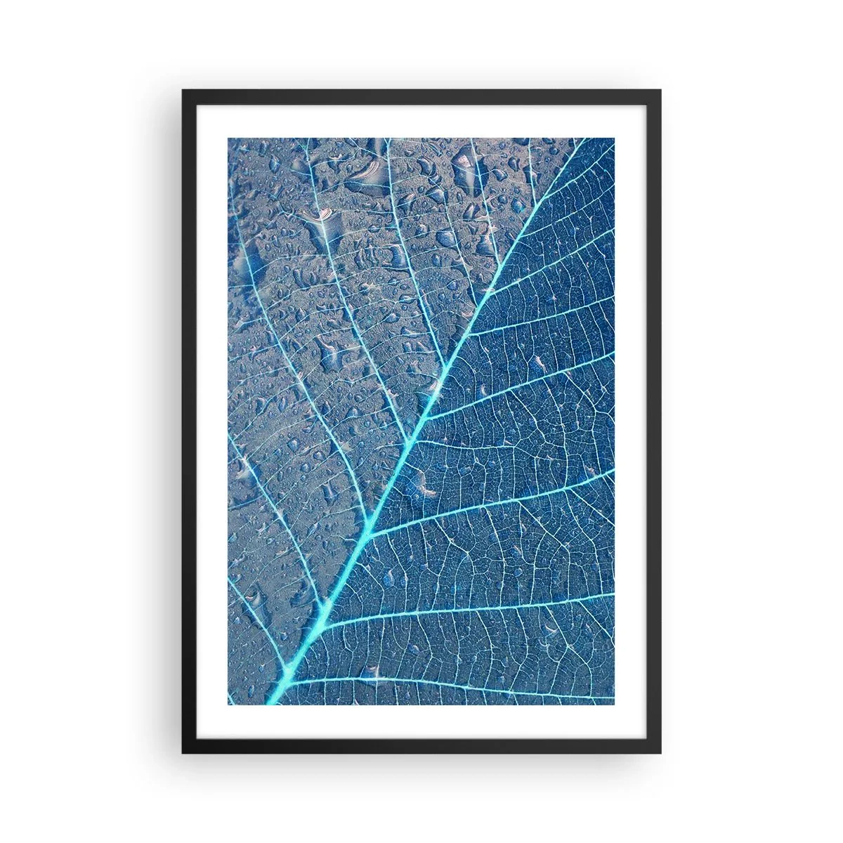 Poster in einem schwarzem Rahmen - Nahaufnahme eines Blattes in Blautönen - 50x70cm - Leben in Blau - Moderne Wanddekoration für Wohnzimmer und Schlafzimmer ARTTOR