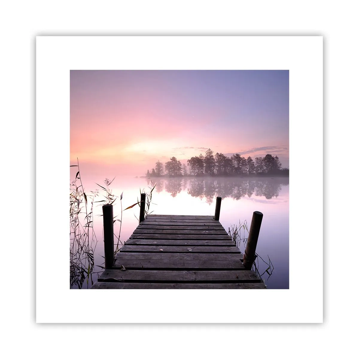 Poster - Aus dem lila Nebel ... - 30x30 cm