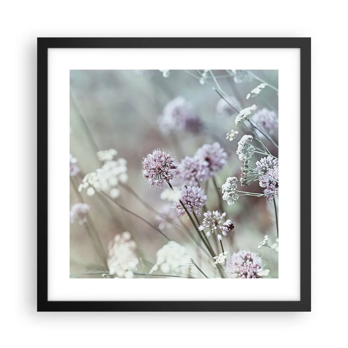 Poster in einem schwarzem Rahmen - Süße filigrane Kräuter - 40x40 cm
