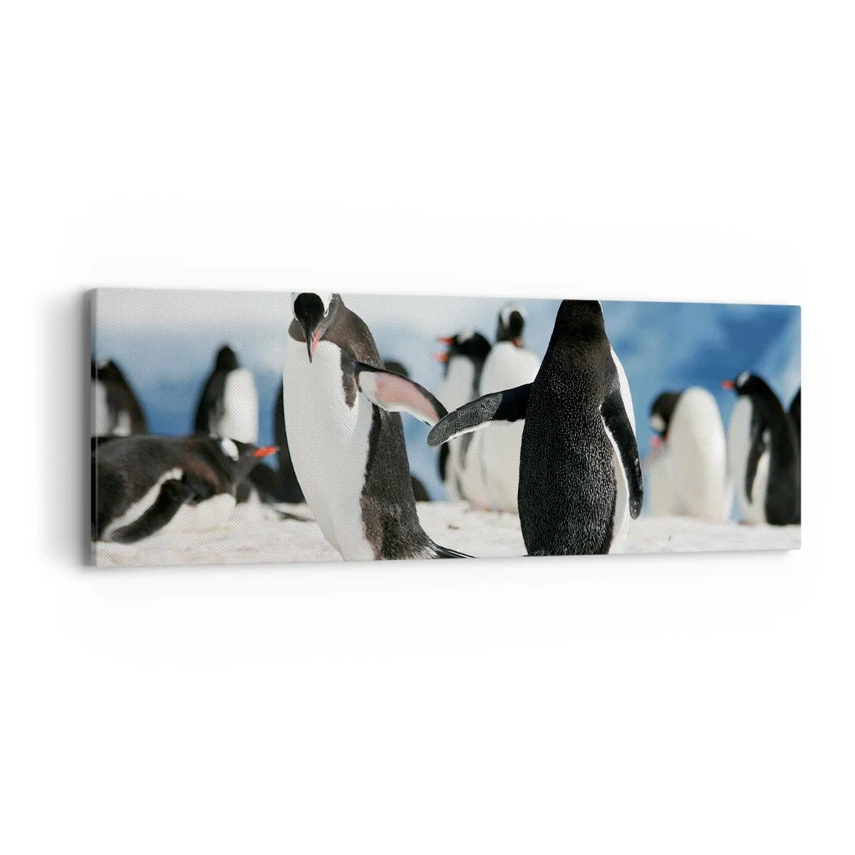 Bild auf Leinwand - Leinwandbild - Tanzen im Schnee - 90x30 cm