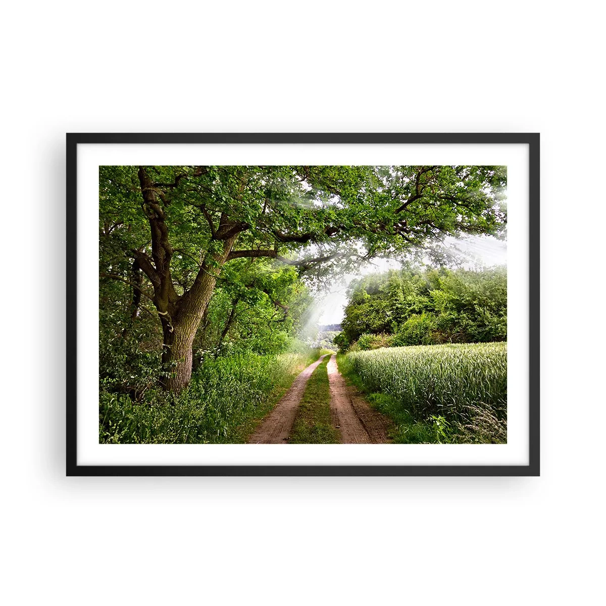 Poster in einem schwarzem Rahmen - Eine unbefestigte Straße zwischen grünen Bäumen und Sonnenlicht - 70x50cm - Et in Arcadia ego - Moderne Wanddekoration für Wohnzimmer und Schlafzimmer ARTTOR