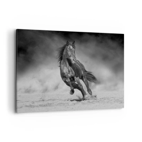 Bild auf Leinwand - Leinwandbild - Ein schwarz-weißes Pferd galoppiert über den Sand - 100x70cm - Würdig des Emirs selbst - Moderne Wanddekoration für Wohnzimmer und Schlafzimmer ARTTOR