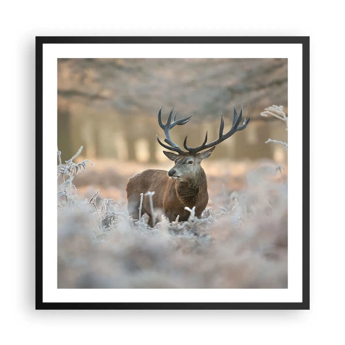 Poster in einem schwarzem Rahmen - Ein flotter Morgen - 60x60 cm