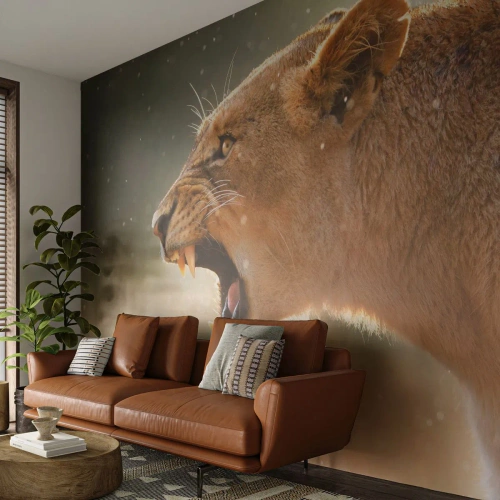 Selbstklebende Fototapete Deluxe Sticker - Versuch, nicht zuzuhören - Tiere, Löwe, Afrika - 350x256 cm