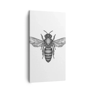 Bild auf Leinwand - Leinwandbild - Insektenporträt - 45x80 cm