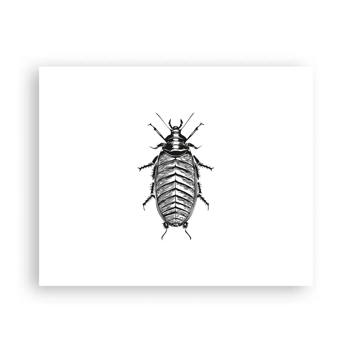 Poster - Was für ein Exemplar! - 50x40 cm