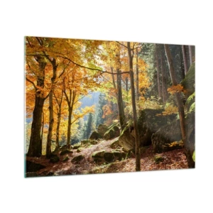 Glasbild - Bild auf glas - Herbstwald mit Sonnenstrahlen und Steinen - 100x70cm - Zeit zum Entspannen - Moderne Wanddekoration für Wohnzimmer und Schlafzimmer ARTTOR