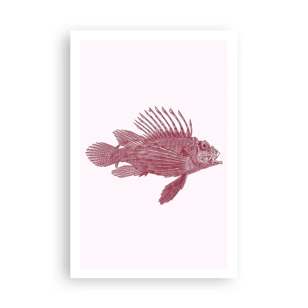 Poster - Bewohner exotischer Gewässer - 61x91 cm