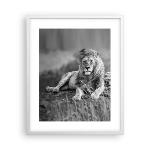 Poster in einem weißen Rahmen - Königliche Siesta - 40x50 cm