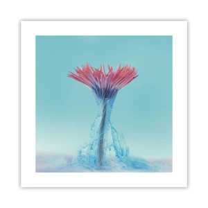 Poster - In einer belebenden Umarmung - 40x40 cm