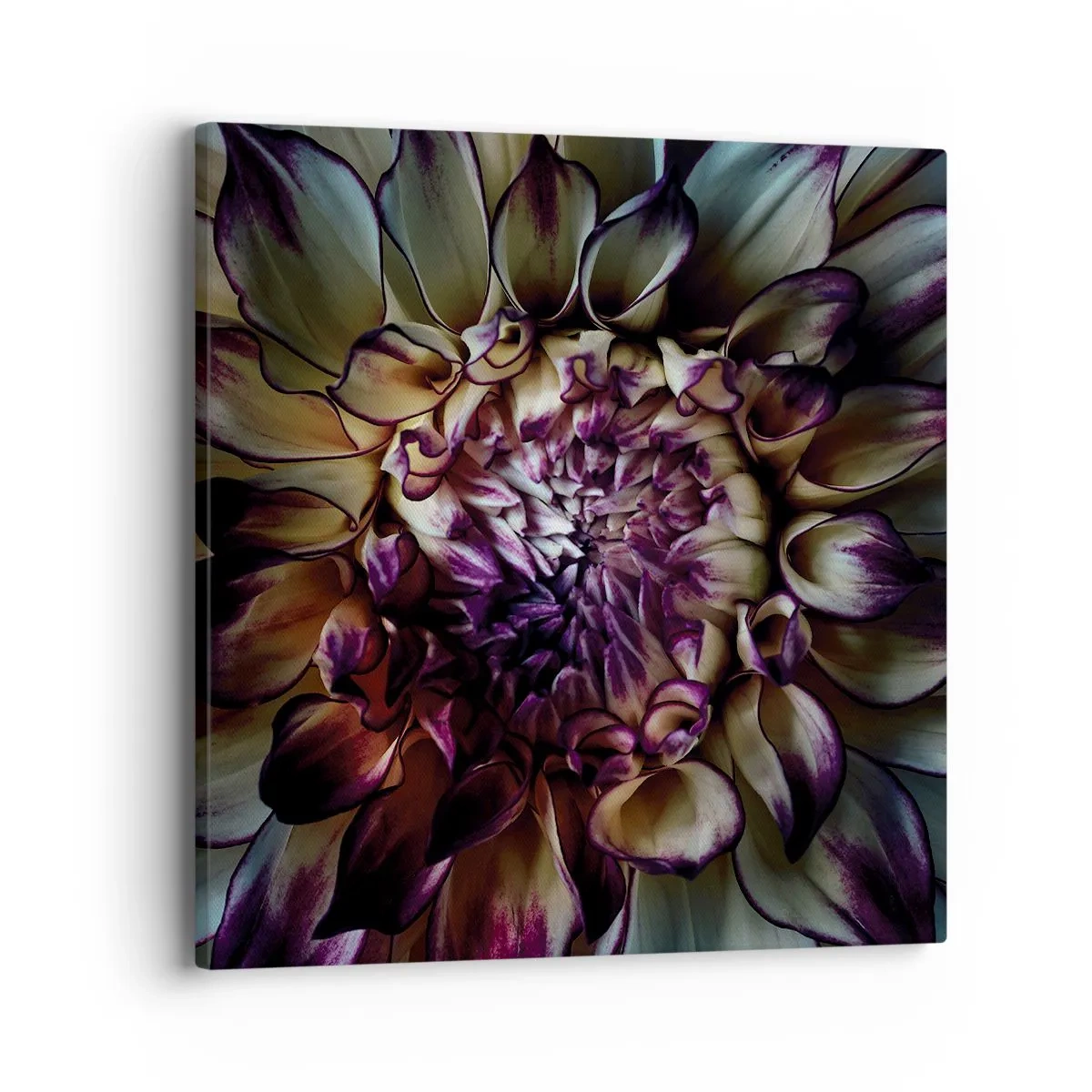 Bild auf Leinwand - Leinwandbild - Die Blütezeit der Jugend - 40x40 cm