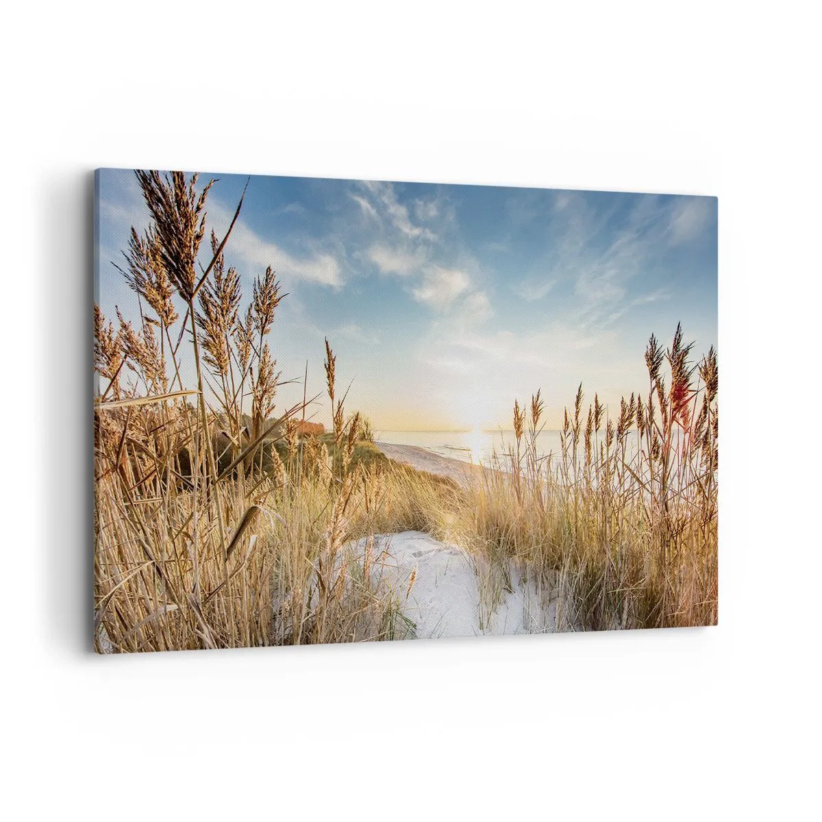 Bild auf Leinwand - Leinwandbild - Ein malerischer Strand mit Gras und untergehender Sonne - 120x80cm - Nordstrand - Moderne Wanddekoration für Wohnzimmer und Schlafzimmer ARTTOR