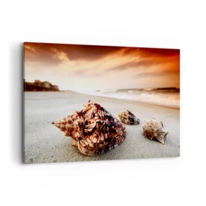 Bild auf Leinwand - Leinwandbild - Muscheln am Strand bei Sonnenuntergang - 120x80cm - Ausgestoßene von Wellen - Moderne Wanddekoration für Wohnzimmer und Schlafzimmer ARTTOR
