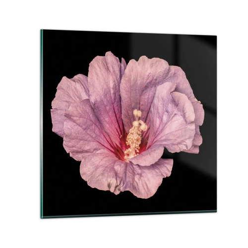 Glasbild - Bild auf glas - Direkt ins Herz - 60x60 cm