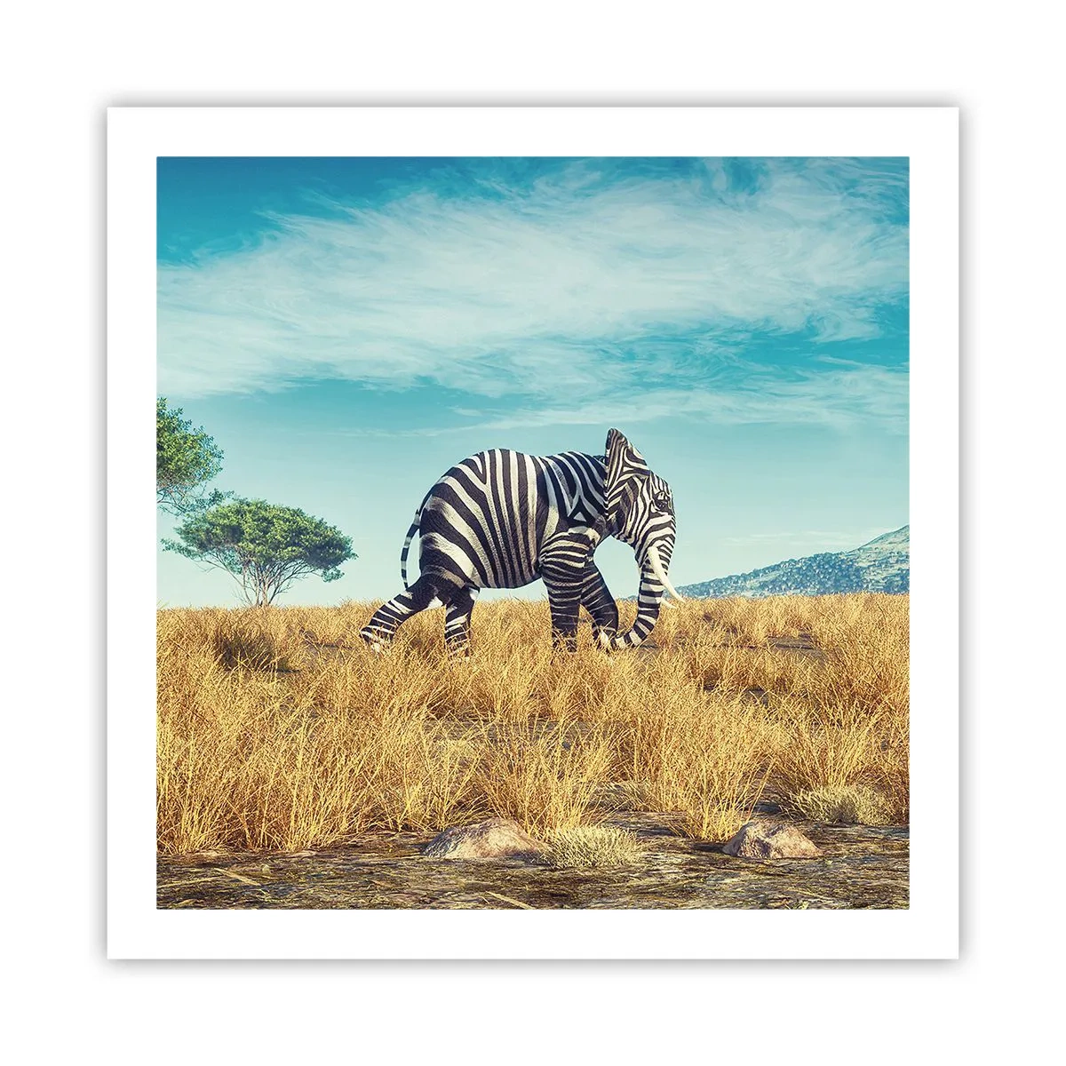 Poster - Grau ist nicht mehr in Mode - 60x60 cm