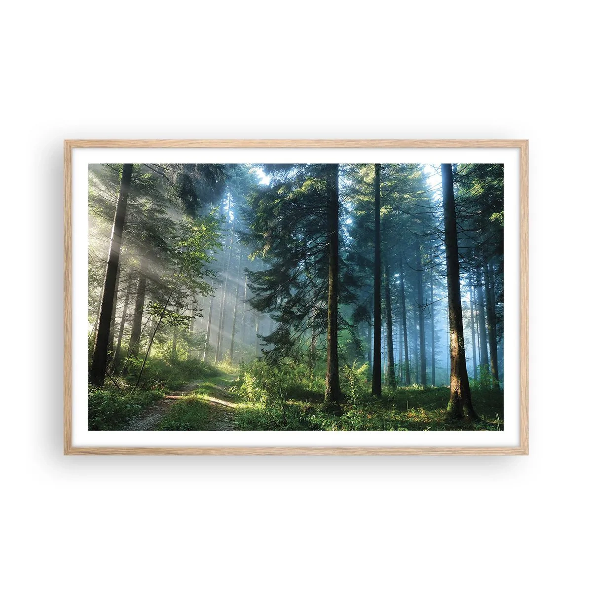 Poster in einem Rahmen aus heller Eiche - Strahlend am Morgen - 91x61 cm