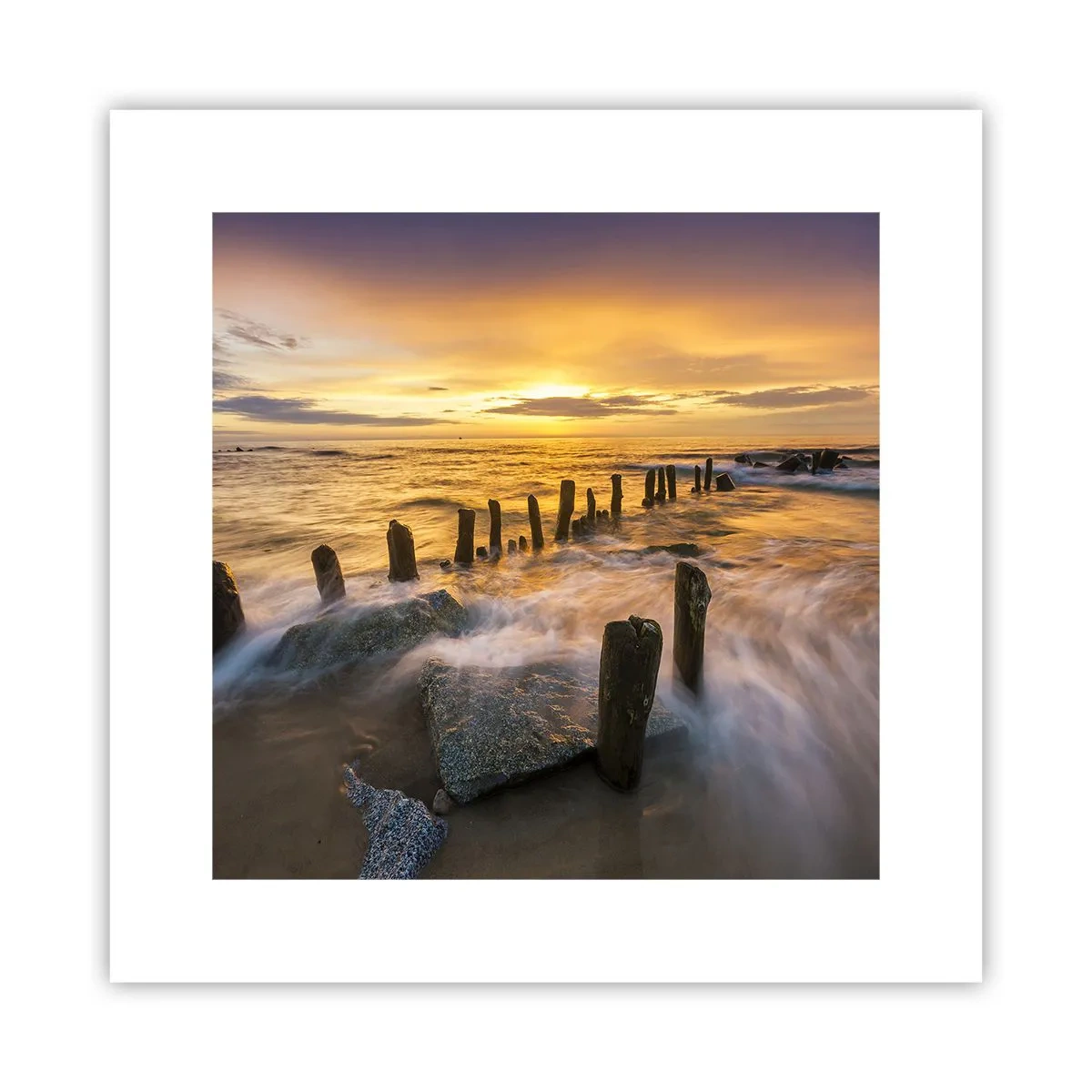 Poster - Die raue Schönheit der Ostsee - 30x30 cm