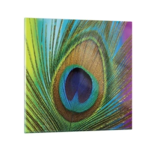 Glasbild - Bild auf glas - Auge in Auge - 30x30 cm