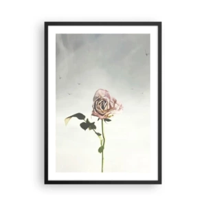 Poster in einem schwarzem Rahmen - Eine zarte Rose vor einem zarten Himmel - 50x70cm - Begrüßung des Frühlings - Moderne Wanddekoration für Wohnzimmer und Schlafzimmer ARTTOR