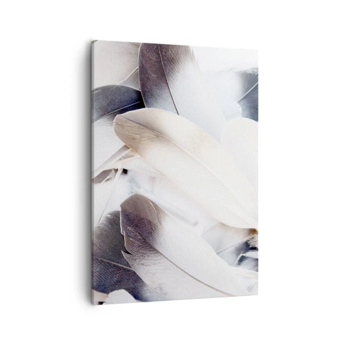 Bild auf Leinwand - Leinwandbild - Nahaufnahme zarter Federn in Weiß- und Grautönen - 50x70cm - Fast engelhaft - Moderne Wanddekoration für Wohnzimmer und Schlafzimmer ARTTOR