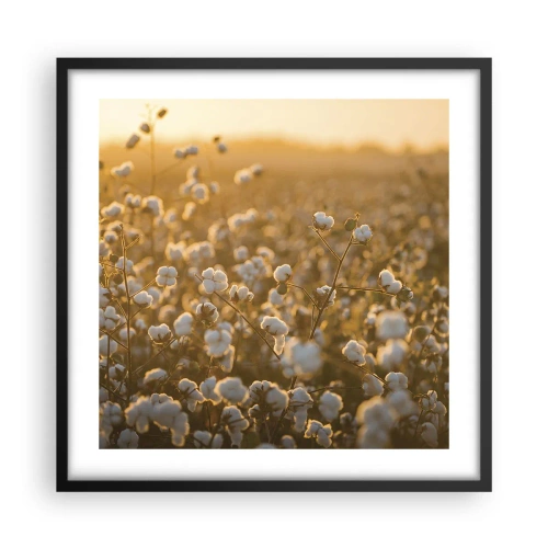 Poster in einem schwarzem Rahmen - Fluffiges Feld - 50x50 cm