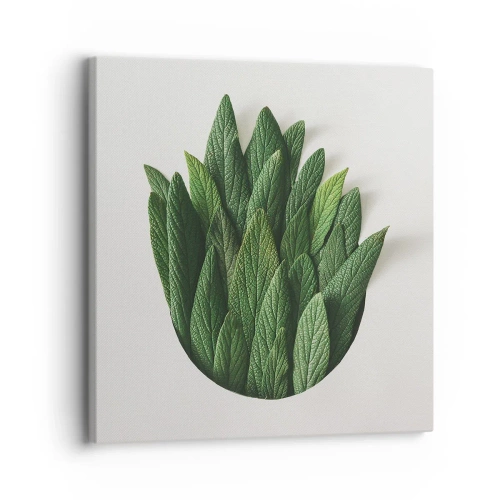 Bild auf Leinwand - Leinwandbild - Ungebremste Neugier - 30x30 cm