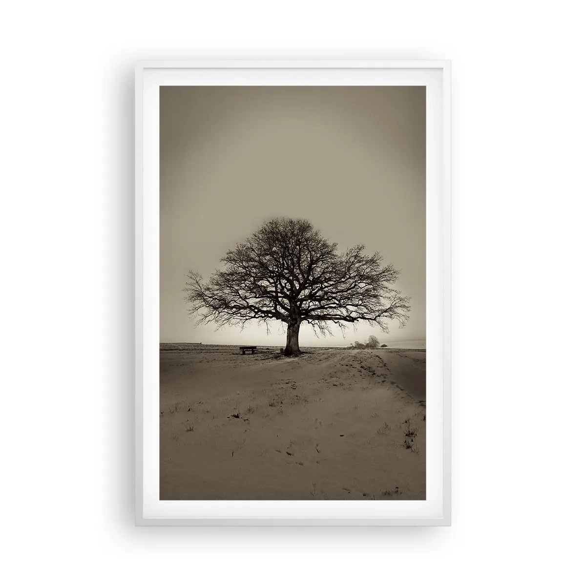 Poster in einem weißen Rahmen - Von hier zu Ewigkeit - 61x91 cm