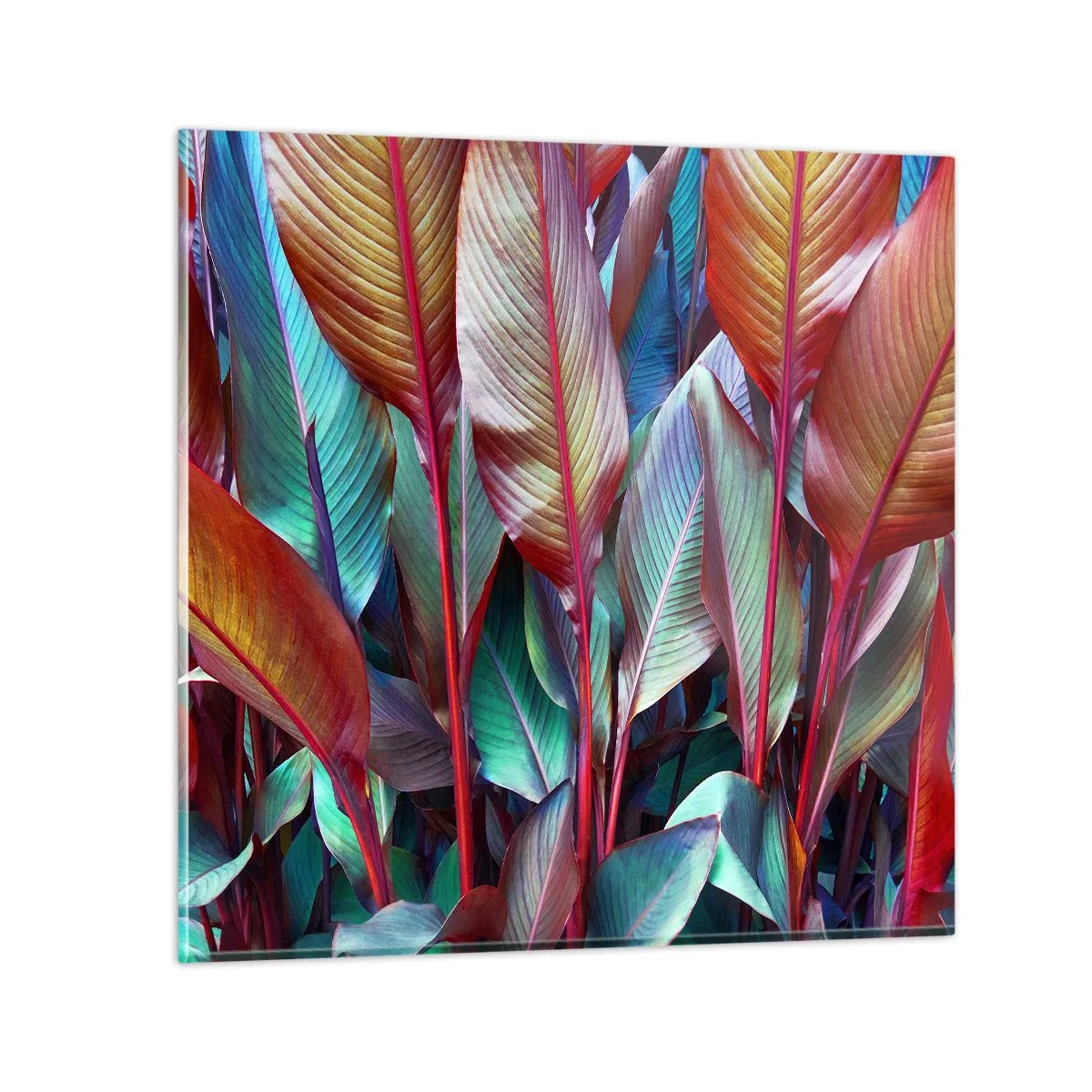 Glasbild - Bild auf glas - Buntes Dickicht - 70x70 cm