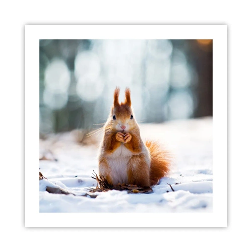 Poster - Wo schaust du hin? - 50x50 cm