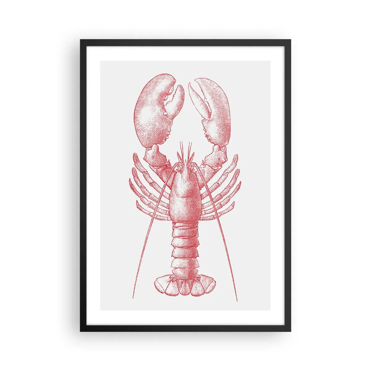 Poster in einem schwarzem Rahmen - Hummer, der Homers würdig ist - 50x70 cm