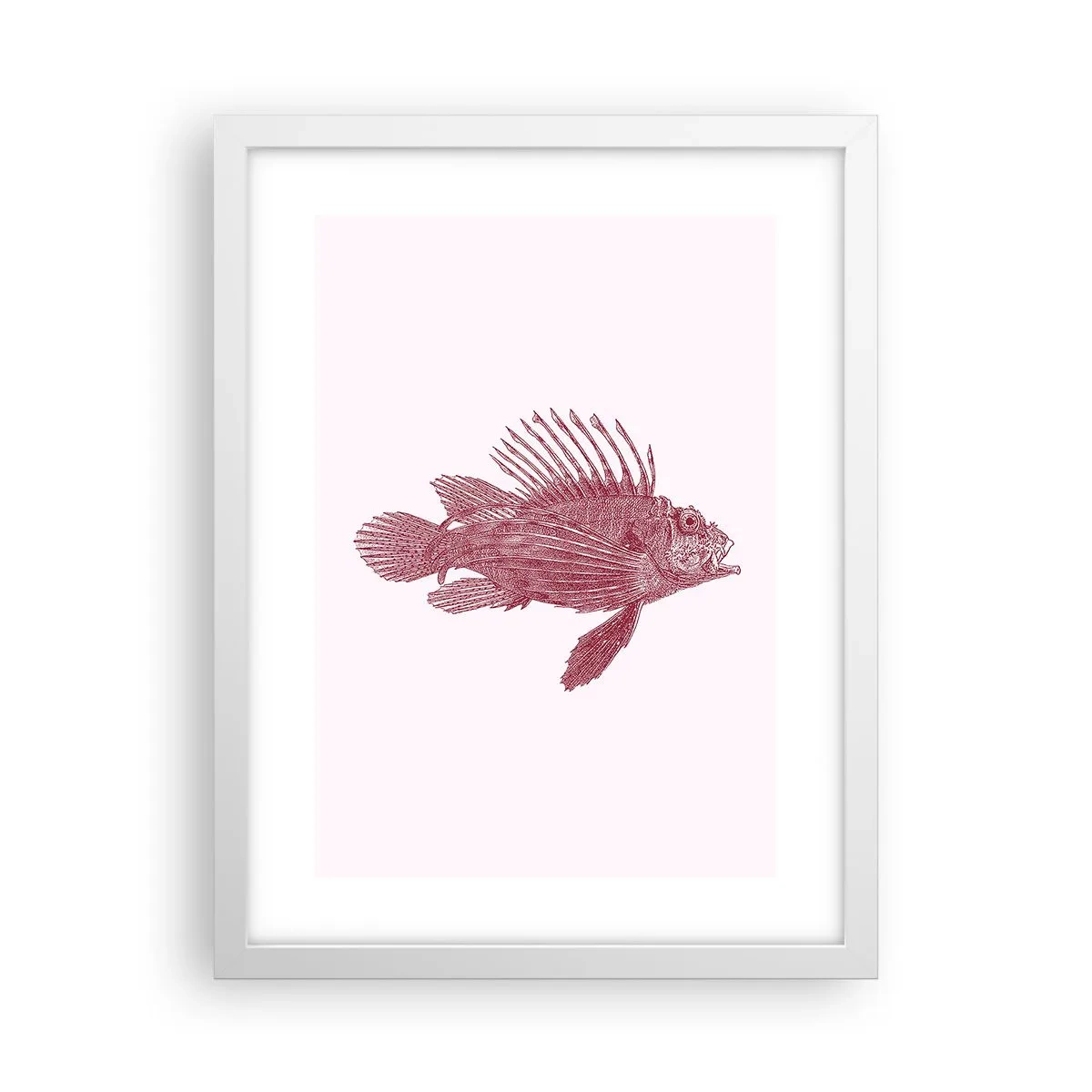 Poster in einem weißen Rahmen - Bewohner exotischer Gewässer - 30x40 cm