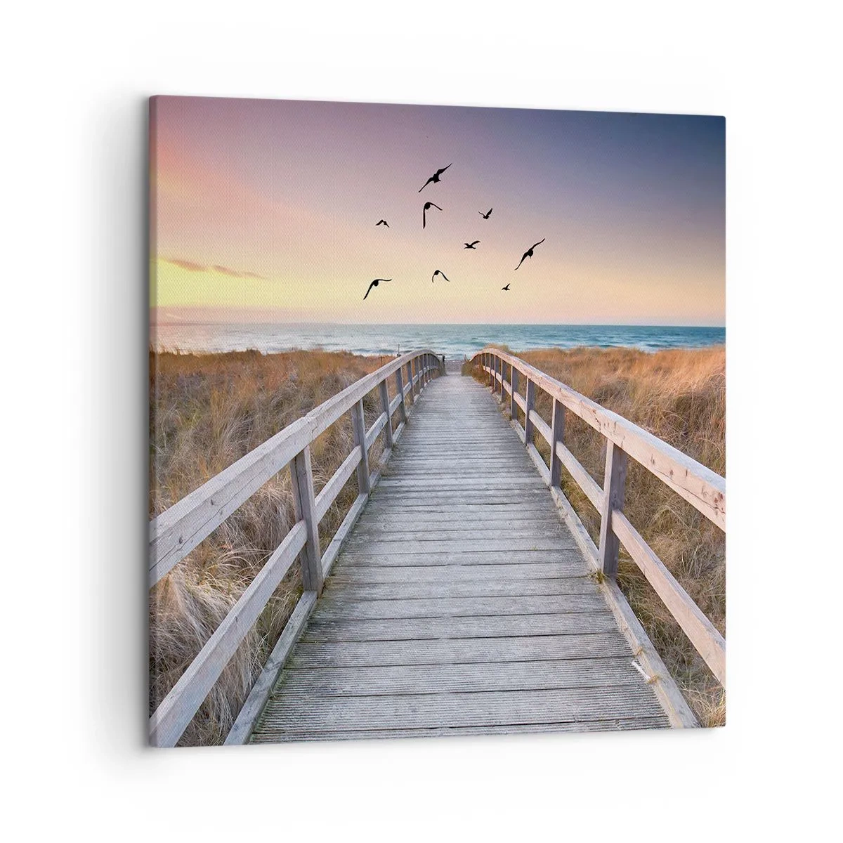 Bild auf Leinwand - Leinwandbild - Der Raum für Auffliegen - 50x50 cm