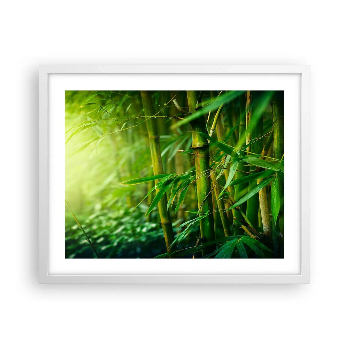 Poster in einem weißen Rahmen - Lerne Grün selbst kennen - 50x40 cm