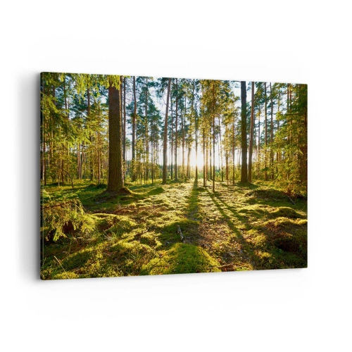 Bild auf Leinwand - Leinwandbild - Grüner Wald, beleuchtet durch Sonnenlicht auf dem Moos - 100x70cm - … Hinter den sieben Wäldern - Moderne Wanddekoration für Wohnzimmer und Schlafzimmer ARTTOR
