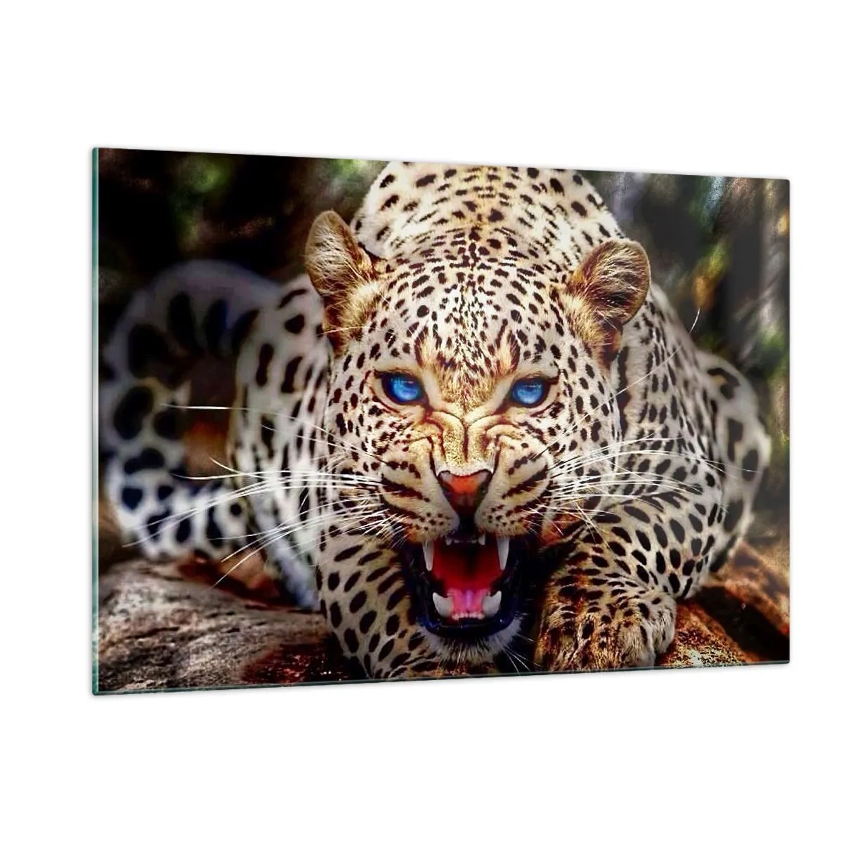 Glasbild - Bild auf glas - Ein wilder blauäugiger Leopard in freier Wildbahn - 120x80cm - Schönheitswut tut nicht weh - Moderne Wanddekoration für Wohnzimmer und Schlafzimmer ARTTOR