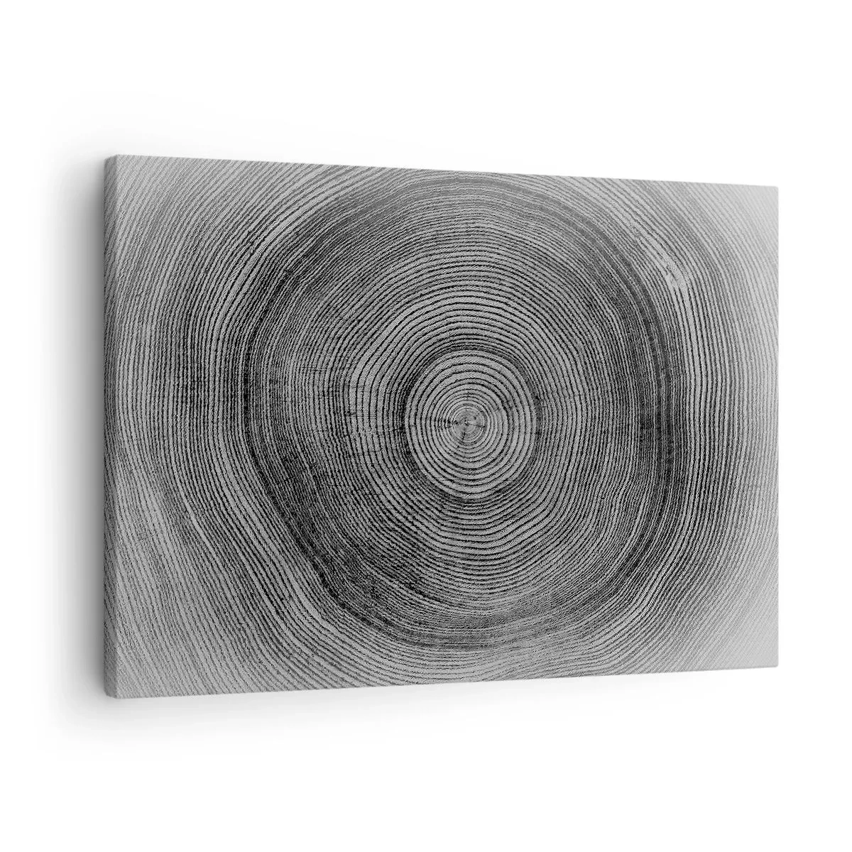 Bild auf Leinwand - Leinwandbild - Schwarz-weißes Baumringmuster, das einen Querschnitt des Stammes zeigt - 70x50cm - Zeichen der Zeit - Moderne Wanddekoration für Wohnzimmer und Schlafzimmer ARTTOR