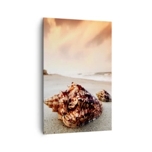 Bild auf Leinwand - Leinwandbild - Muscheln am Strand bei Sonnenuntergang - 80x120cm - Ausgestoßene von Wellen - Moderne Wanddekoration für Wohnzimmer und Schlafzimmer ARTTOR
